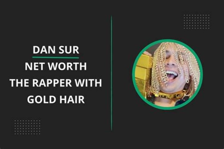 Dan Sur Net Worth 2024