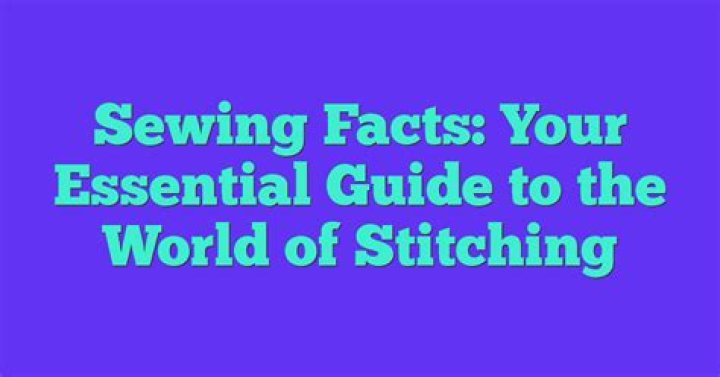 Your Essential Guide To The